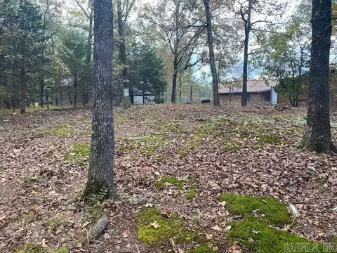 Exterior - 2743 Highway 88 E, Mena, AR 71953 photo 14 of 16