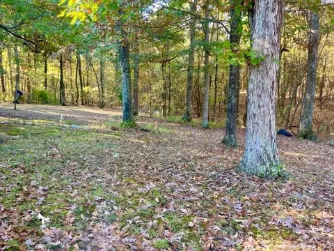 69 Cr 4501, Corning, AR 72422 photo 4