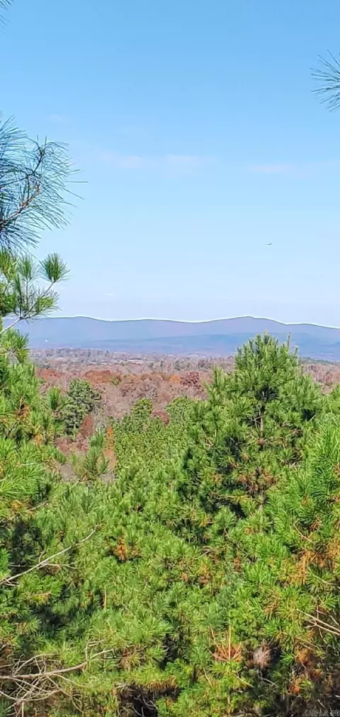 tbd Polk Road 617, Mena, AR 71953