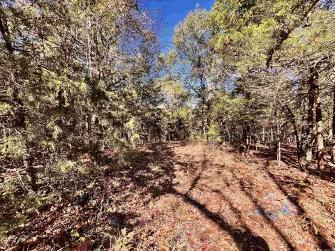 346 Fairground Rd, Ash Flat, AR 72513 photo 5