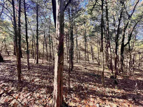 346 Fairground Rd, Ash Flat, AR 72513 photo 3