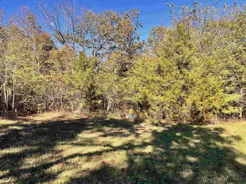 346 Fairground Rd, Ash Flat, AR 72513 photo 4