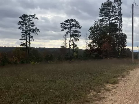 1300 Qmc, Mountain View, AR 72560 photo 6