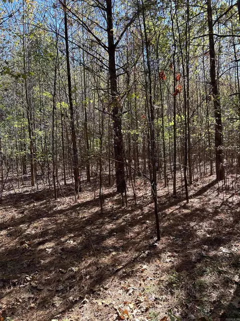 53 Center Point Loop, Vilonia, AR 72173 photo 5