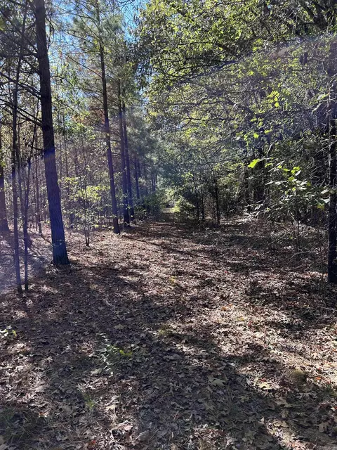 53 Center Point Loop, Vilonia, AR 72173 photo 4