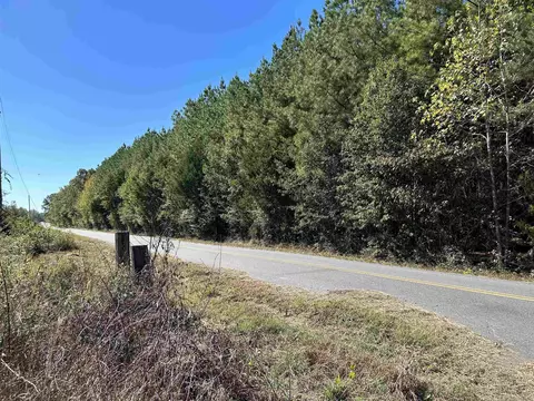 53 Center Point Loop, Vilonia, AR 72173 photo 3
