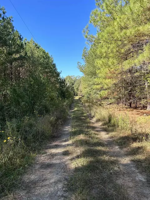 53 Center Point Loop, Vilonia, AR 72173 photo 6