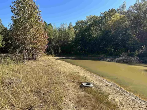 53 Center Point Loop, Vilonia, AR 72173 photo 9