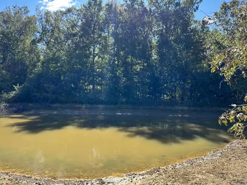 53 Center Point Loop, Vilonia, AR 72173 photo 8