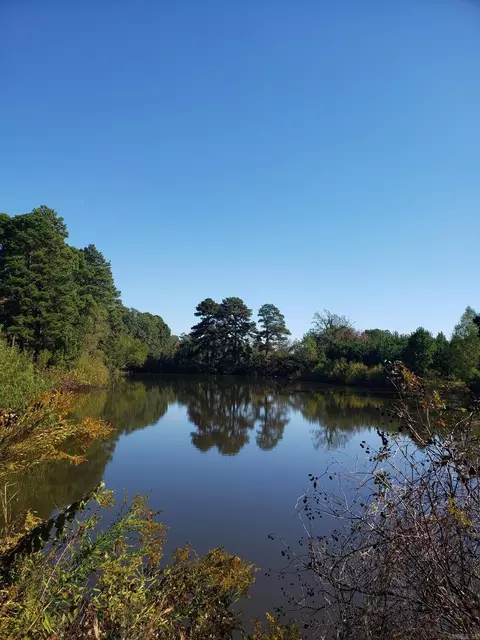 2104 Buck Wright Rd, Ashdown, AR 71822 photo 18