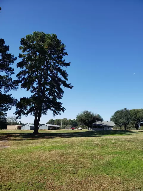2104 Buck Wright Rd, Ashdown, AR 71822 photo 5