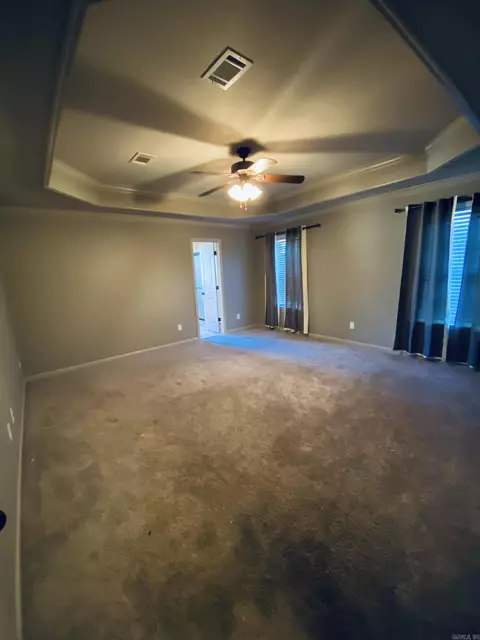 14 Lilly Ann, Ward, AR 72176 photo 20