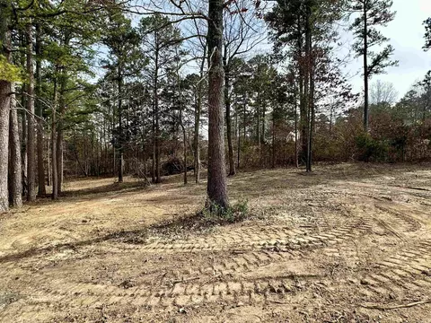 485 E Olive St, Melbourne, AR 72556 photo 22
