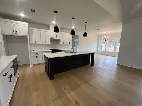 10568 Gunter Loop, Benton, AR 72019 photo 15