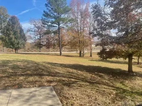 4223 Lake Norrell Rd, Alexander, AR 72002 photo 17