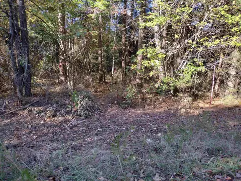 511 Wildflower, Mountain View, AR 72560 photo 1