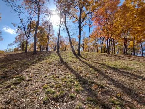 1297 Harness, Mountain View, AR 72560 photo 14