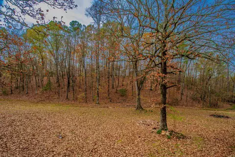 15023 Ansata Dr, Alexander, AR 72002 photo 33