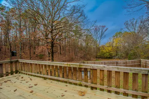 15023 Ansata Dr, Alexander, AR 72002 photo 35