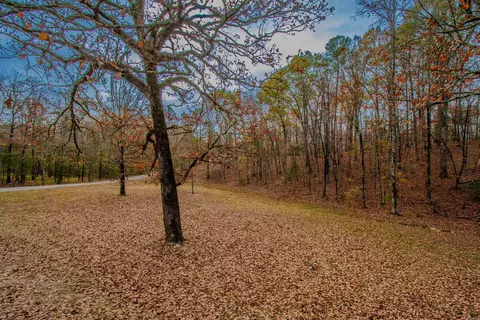 15023 Ansata Dr, Alexander, AR 72002 photo 32