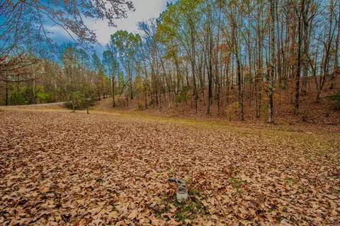 15023 Ansata Dr, Alexander, AR 72002 photo 48