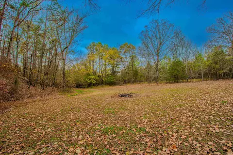 15023 Ansata Dr, Alexander, AR 72002 photo 50