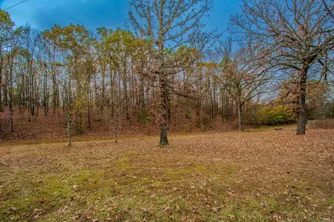 15023 Ansata Dr, Alexander, AR 72002 photo 45