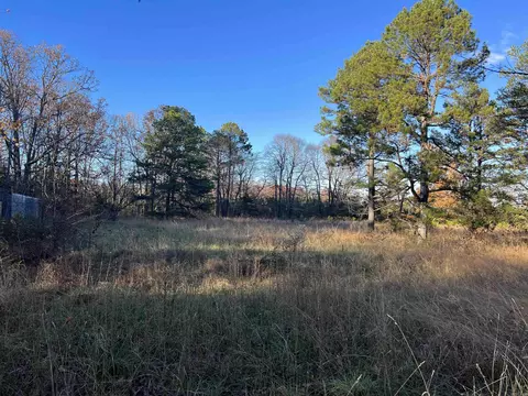 1838 Brock Rd, Clinton, AR 72031 photo 41