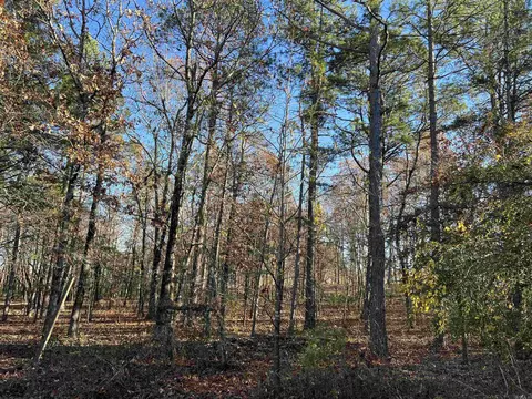1838 Brock Rd, Clinton, AR 72031 photo 11