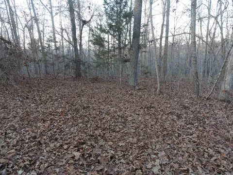 313 Mayapple Rd, Harriet, AR 72639 photo 5