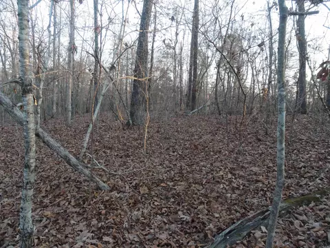 313 Mayapple Rd, Harriet, AR 72639 photo 9