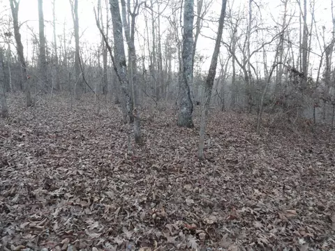 313 Mayapple Rd, Harriet, AR 72639 photo 6