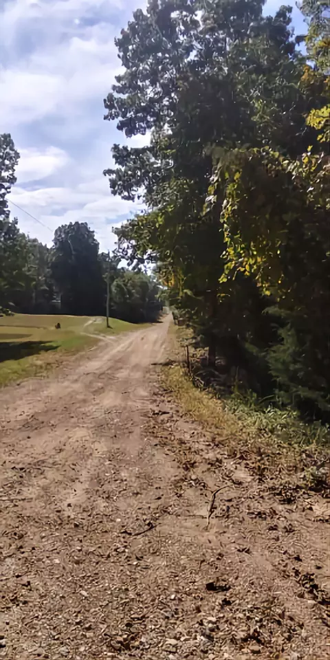 254 Tuscon Ln, Viola, AR 72583 photo 1