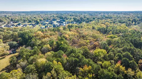20 Acres Congo Rd, Benton, AR 72019 photo 14