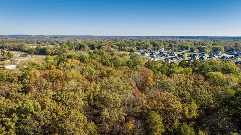 20 Acres Congo Rd, Benton, AR 72019 photo 9