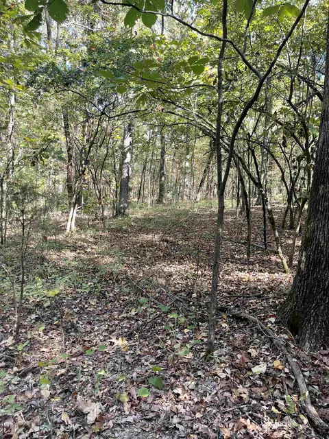 20 Acres Congo Rd, Benton, AR 72019 photo 3