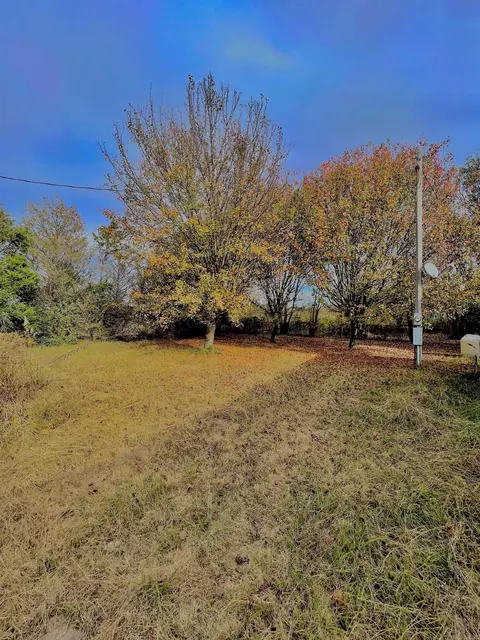 348 Greene Road 833, Marmaduke, AR 72443 photo 2