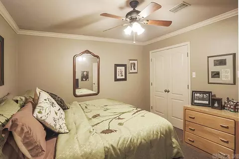 794 Mallard Ln, Conway, AR 72034 photo 19