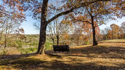 701 Highway 31, Romance, AR 72136 photo 5