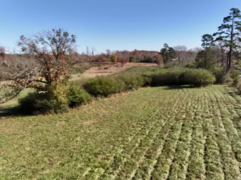 417 Hwy 278 E, Wickes, AR 71973 photo 15
