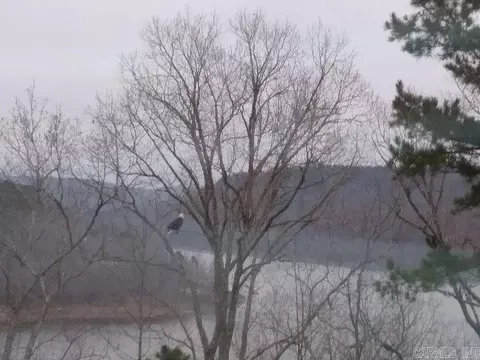 50 Devils Bluff Rd, Greers Ferry, AR 72067 photo 45