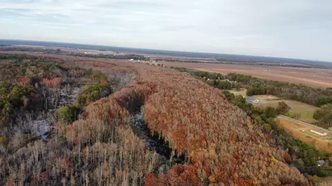10 Martin Cemetery Rd, Scott, AR 72142