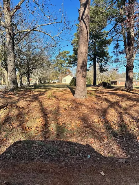 300 Moore St, Ward, AR 72176 photo 4