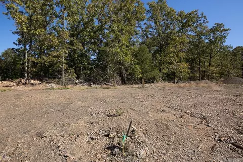 lot15 Wellington Pl, Cabot, AR 72023 photo 11