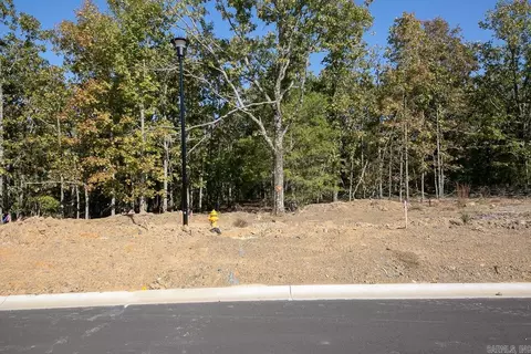 lot15 Wellington Pl, Cabot, AR 72023 photo 16