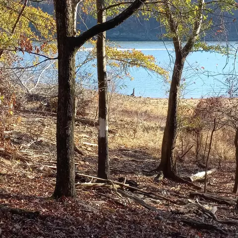 lot S 5 6 Pettit Dr, Edgemont, AR 72044