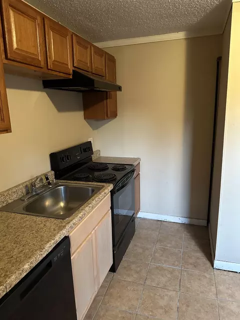 701 N Holly, Beebe, AR 72012 photo 4