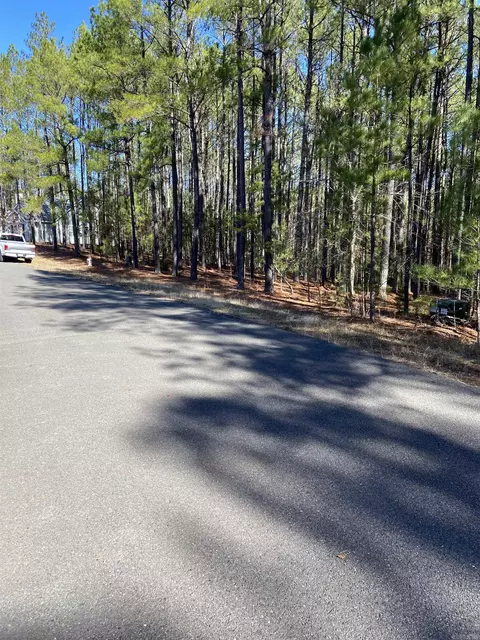 10 Vigoroso Ln, Hot Springs Village, AR 71909