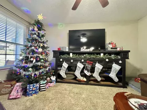 1214 Meadows Dr, Benton, AR 72019 photo 3