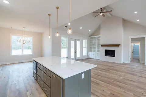 Living - 46 Mckaskle Cv, Greenbrier, AR 72058 photo 4 of 5